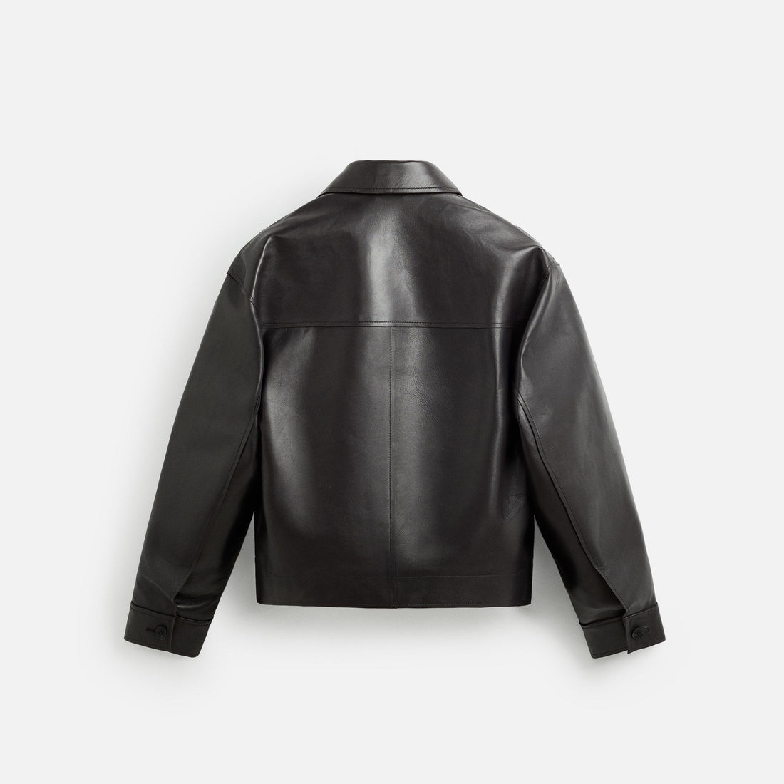 Men's Brown Cropped Fit Leather Jacket with Pockets